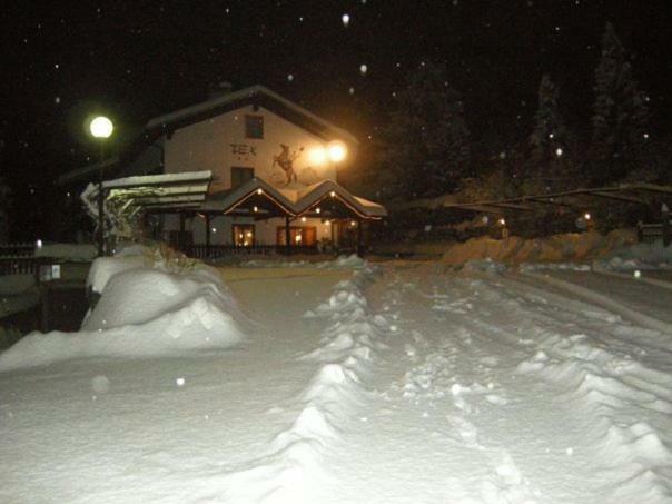 Botton D'Oro Delle Dolomiti Bed & Breakfast Vattaro Exterior foto