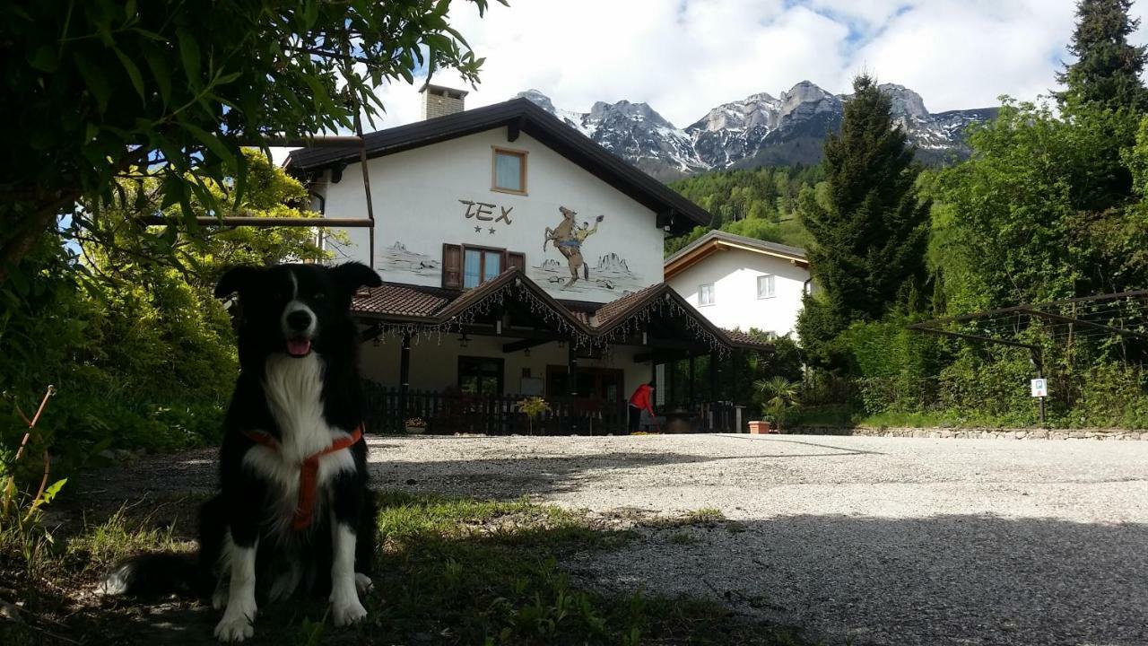 Botton D'Oro Delle Dolomiti Bed & Breakfast Vattaro Exterior foto